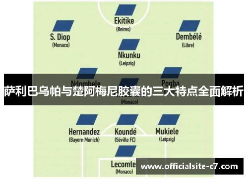 萨利巴乌帕与楚阿梅尼胶囊的三大特点全面解析