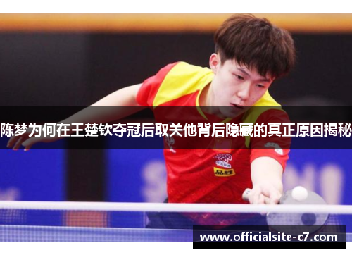 陈梦为何在王楚钦夺冠后取关他背后隐藏的真正原因揭秘