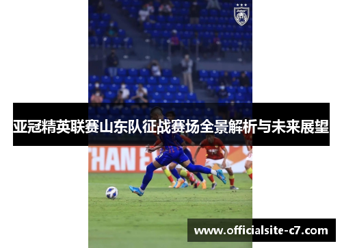 亚冠精英联赛山东队征战赛场全景解析与未来展望