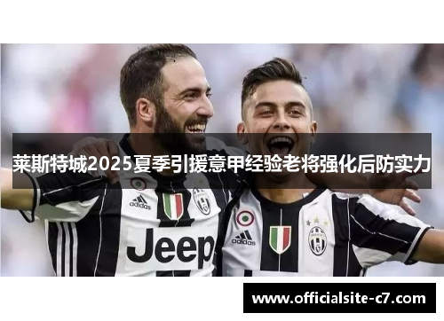 莱斯特城2025夏季引援意甲经验老将强化后防实力 莱斯特城2025夏季引援意甲经验老将强化后防实力